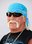 Hulk Hogan photo
