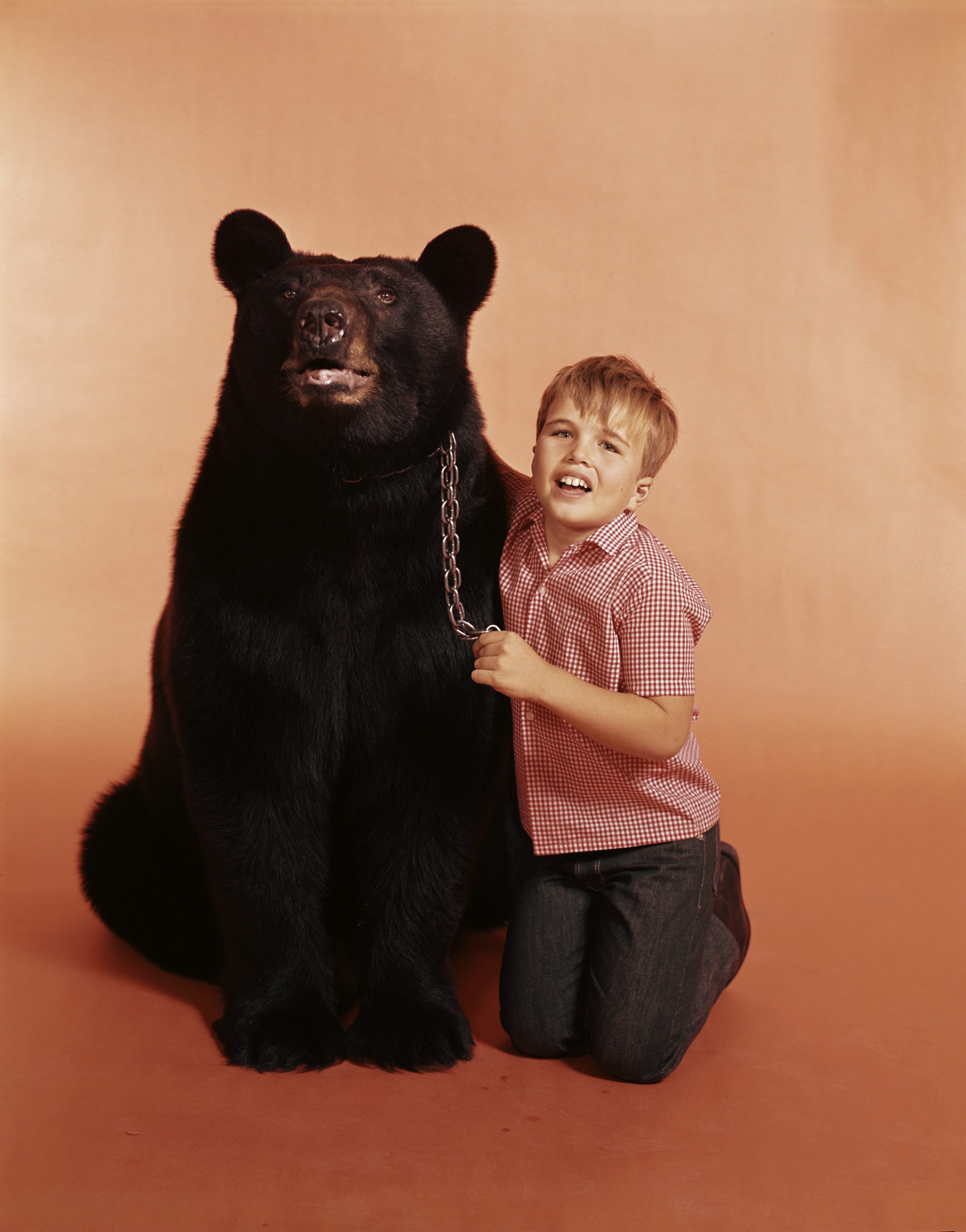 Bruno The Bear